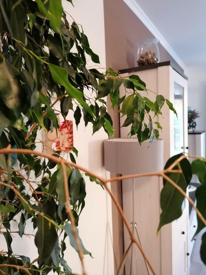 Apartman Luna Šibenik Extérieur photo