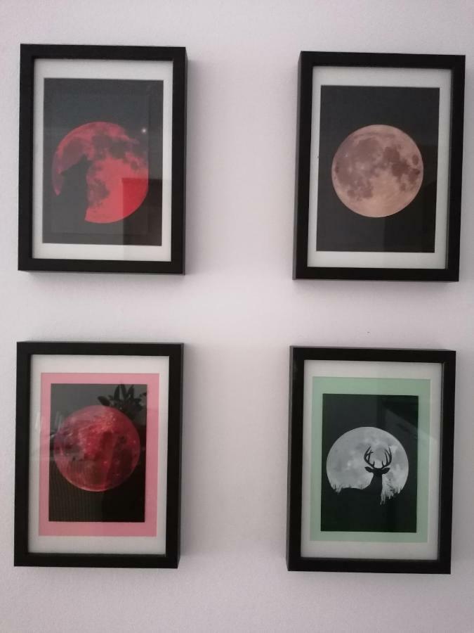 Apartman Luna Šibenik Extérieur photo