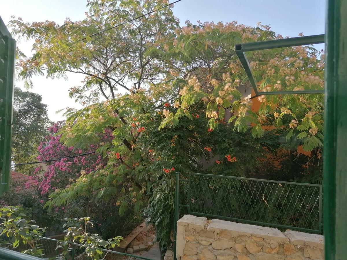 Apartman Luna Šibenik Extérieur photo